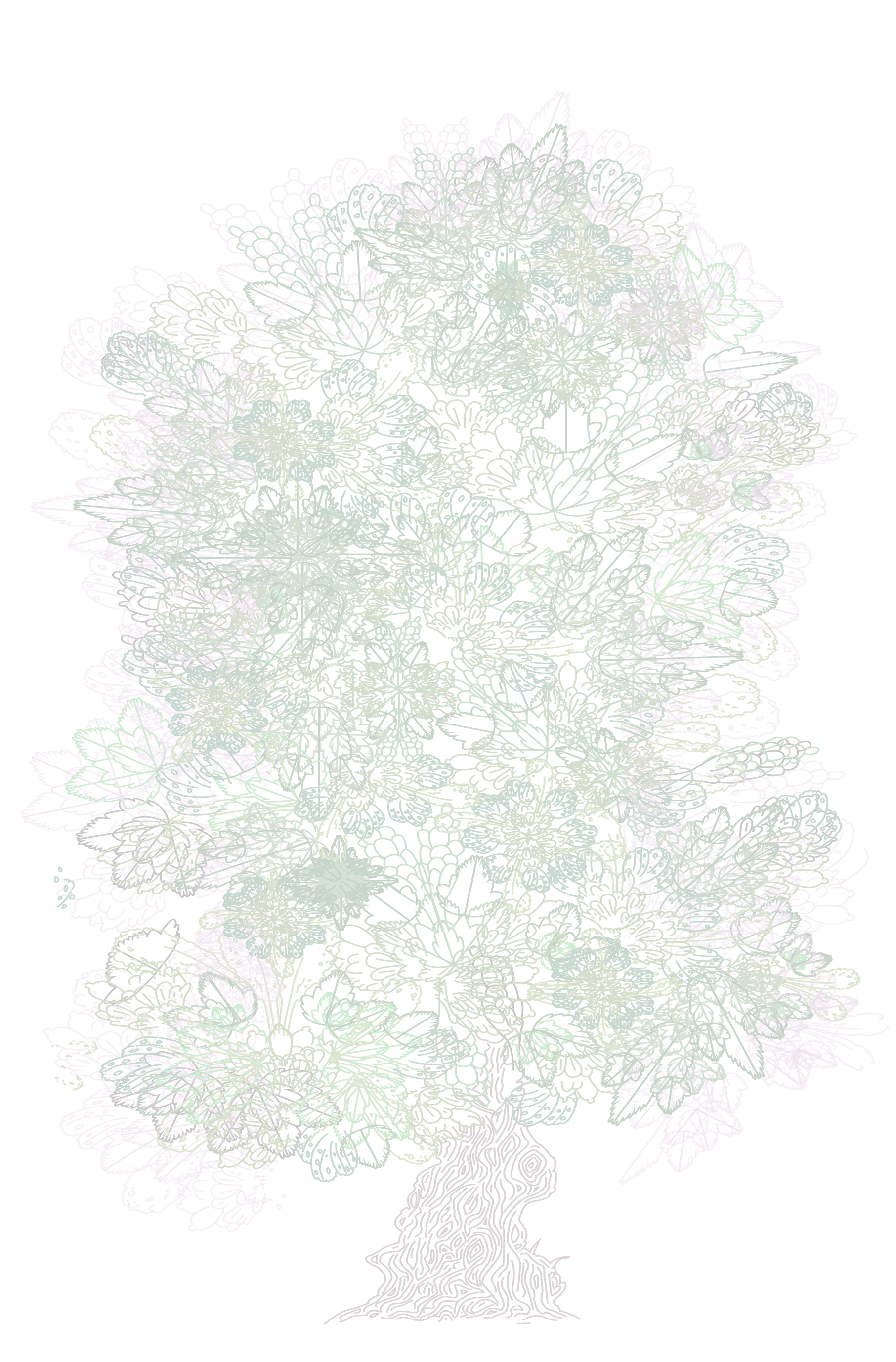 yew tree